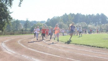Zdjęcie 008