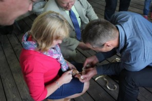 IMG_2454.JPG