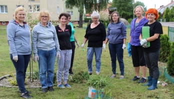 Kliknięcie w obrazek spowoduje wyświetlenie jego powiększenia