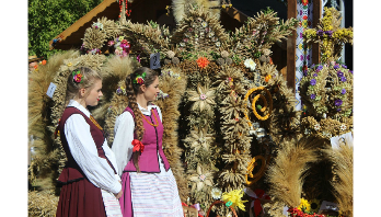 Kliknięcie w obrazek spowoduje wyświetlenie jego powiększenia