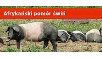 Kliknięcie w obrazek spowoduje wyświetlenie jego powiększenia