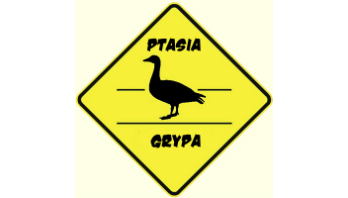 Kliknięcie w obrazek spowoduje wyświetlenie jego powiększenia