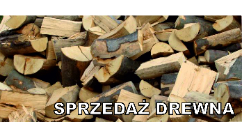 Kliknięcie w obrazek spowoduje wyświetlenie jego powiększenia