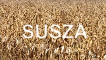 Kliknięcie w obrazek spowoduje wyświetlenie jego powiększenia